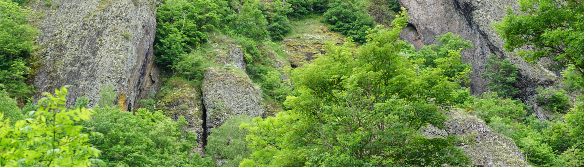 Chemin de Saint-Jacques de Compostelle